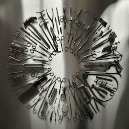 Carcass-Surgical Steel