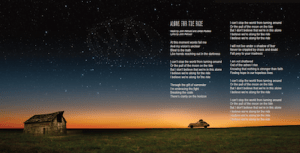 DT-Along for The Ride