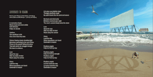 DT-Surrender to Reason