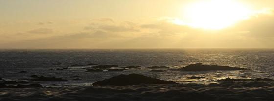Alcest - beach photo